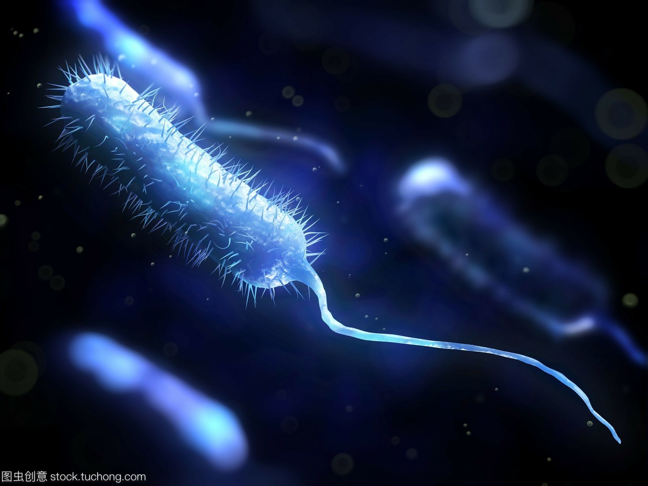 危險(xiǎn),粘貼,微生物,生物學(xué),概念,細(xì)菌學(xué),風(fēng)險(xiǎn),棍,healthcare,artwork,手機(jī),illustration,科技醫(yī)療,microbiology,棒,rod shape,infection,桿,細(xì)菌性的,植物學(xué),病菌,rod shaped,活力,dangerous,活躍,細(xì)菌,mobile,木棒,醫(yī)療保健,疾病,rod,生長(zhǎng),conceptual,尾巴,bacilli,pathogen,藝術(shù)品,微生物學(xué),bacillus,concept,bacteriology,microbe,active,