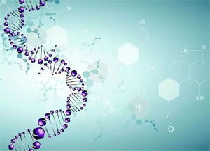 哥大生物碩博學(xué)姐全面系統(tǒng)介紹生科,生物技術(shù),生統(tǒng)申請及發(fā)展路徑