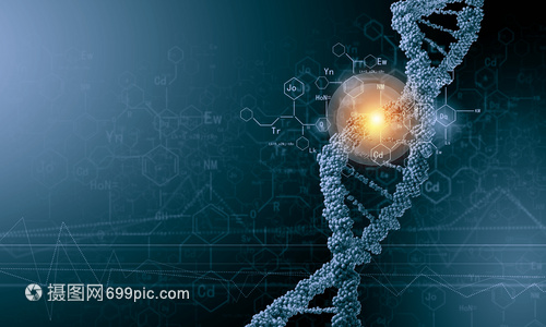 DNA分子 從生物化學背景到高科技應用