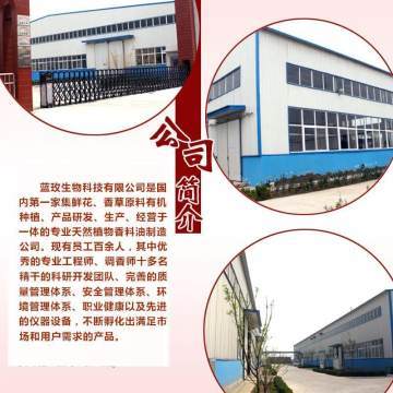 天竺葵純露 深層凈化肌膚，煥活水潤光彩——藍玫丫廠家直銷美容院裝專業解析